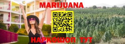 гидра Кимры