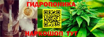 гидра Кимры