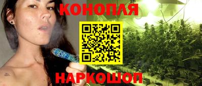не бодяженный Кингисепп
