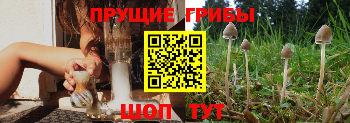 где найти наркотики  Вход с VPN  Шелехов  Псилоцибиновые грибы Magic Shrooms 