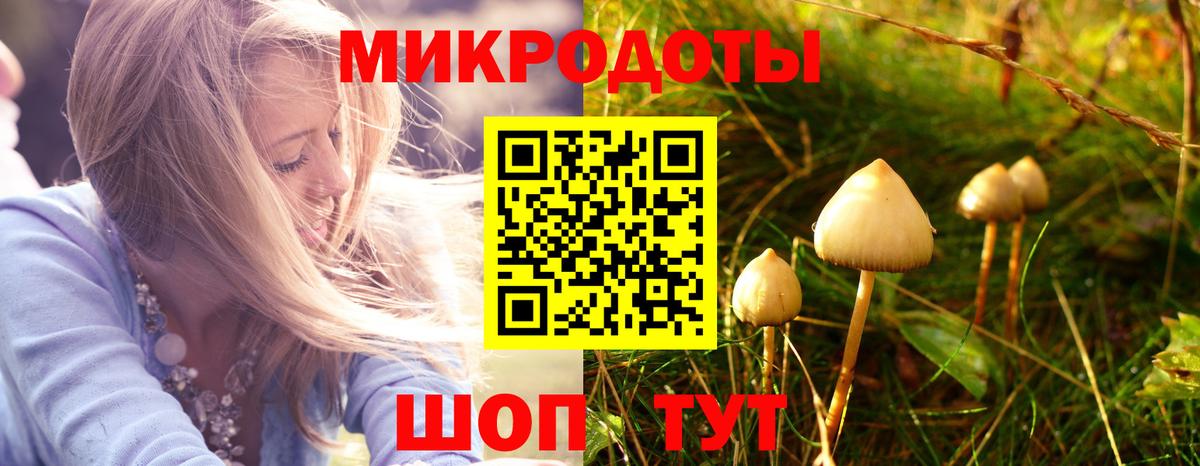 Галлюциногенные грибы прущие грибы Шелехов
